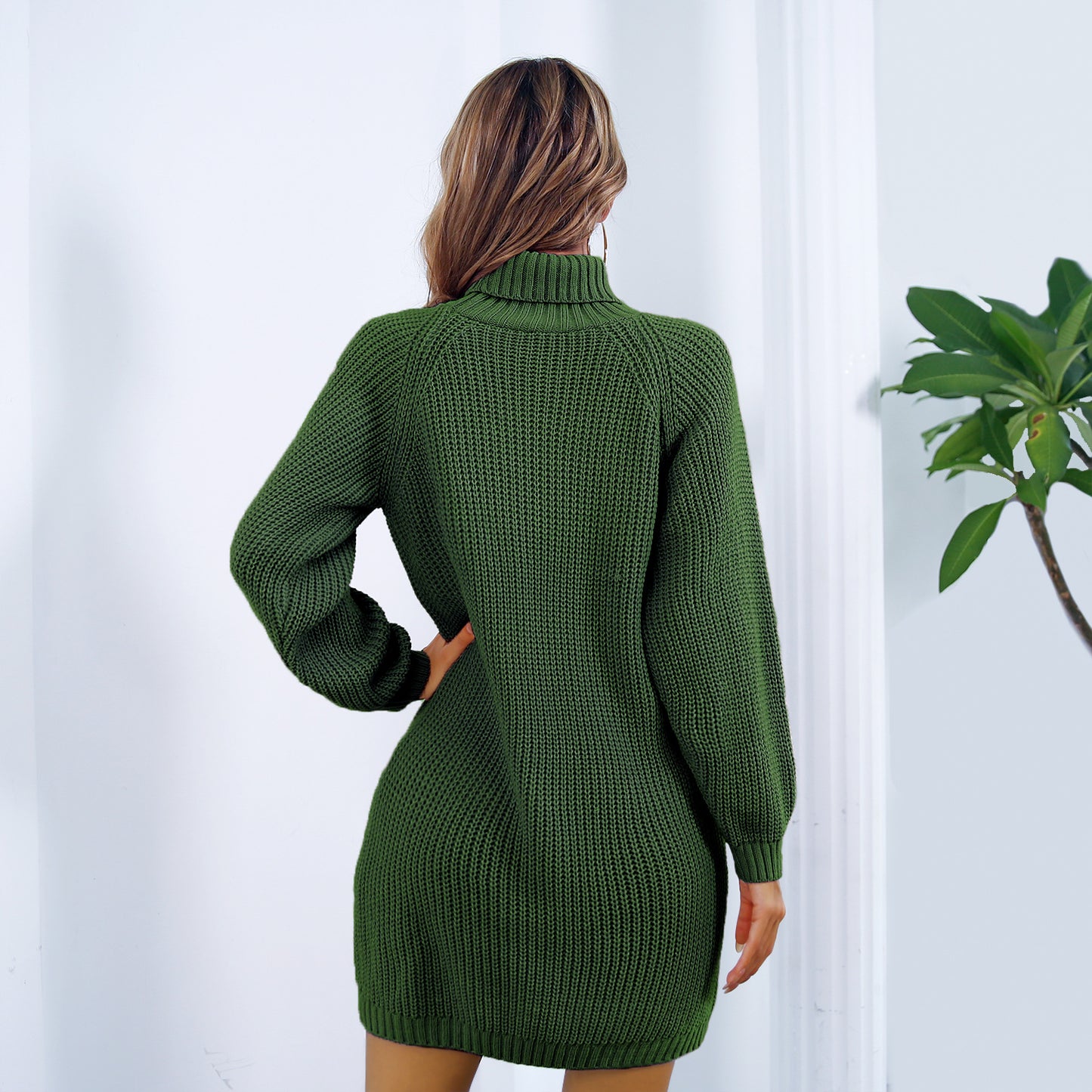 Winter Turtleneck Long Sweater Dress With Button Design Leisure Clinch